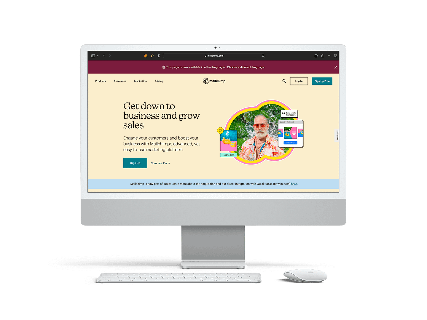 Email Marketing & Automation